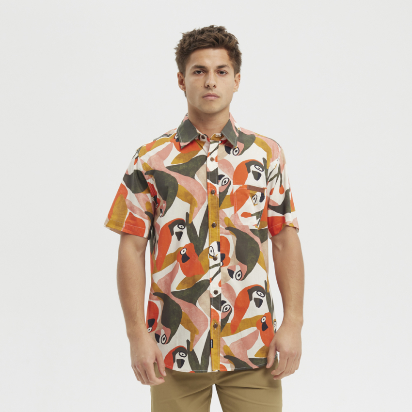 Camisa estampada Hydroponic